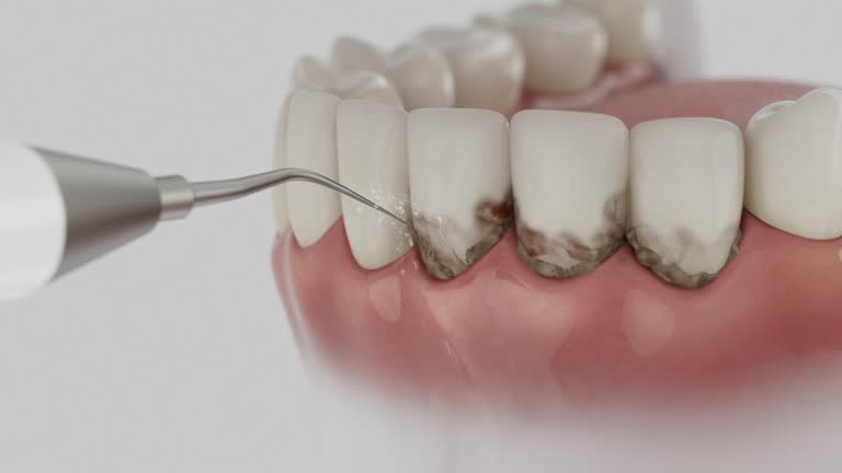 Reliable Dental contractor in St. Clair, MI by Dentist Open Now